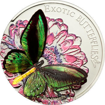 2012 Exotic Butterflies - Ornithoptera Priamus - Tokelau Ag 3D - 1